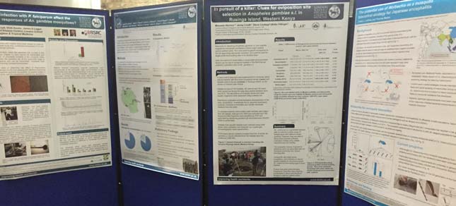 LSH-Poster-Boards-Mosquitoes